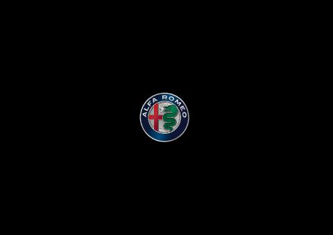 Alfa Romeo catalogue | Alfa Romeo Stelvio | 2022/03/11 - 2022/07/31