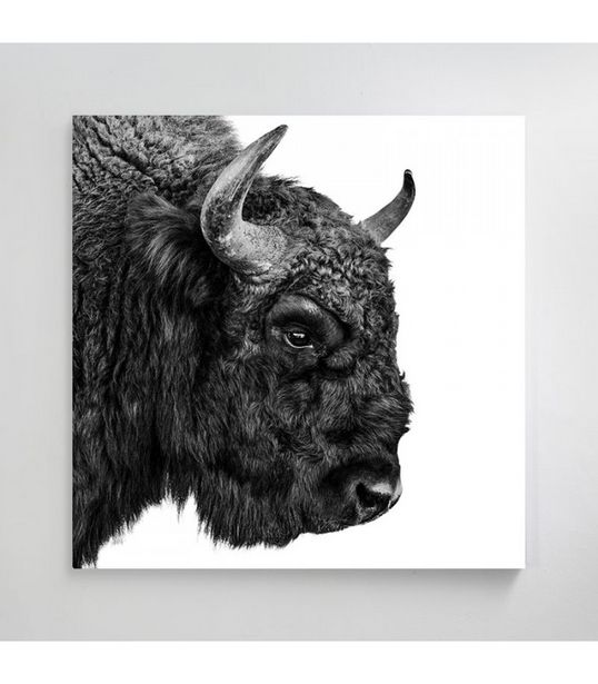 European Bison Canvas Art offers at R 450