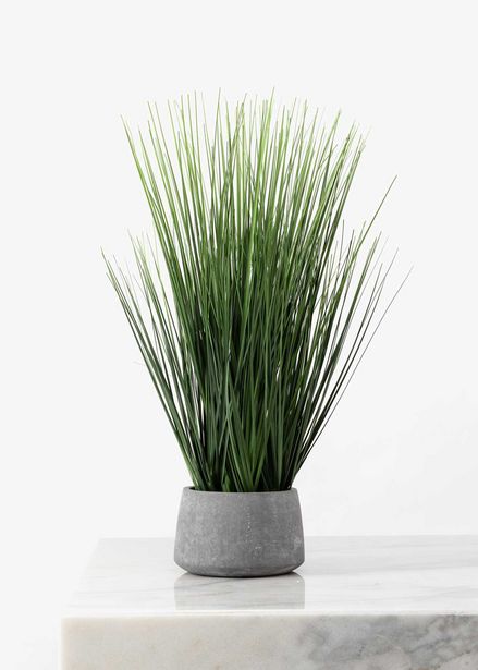 Artificial Reeds in Cement Pot offers at R 399
