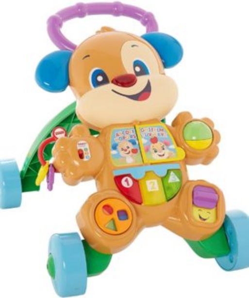 Fisher- Price® Ss Puppy Walker offers at R 749,9