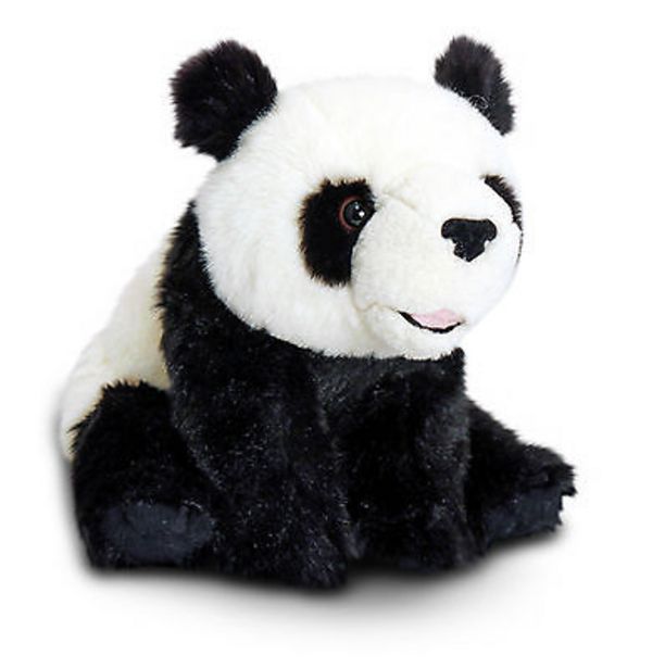 Buy Panda In George Deals And Promotions